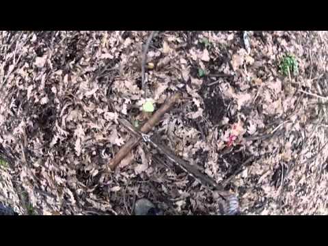 Caccia al Muflone con l’Arco