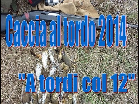 Caccia ai Tordi in Sicilia