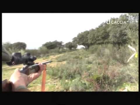 Caccia al Cinghiale – Il Sogno del Cinghialaio