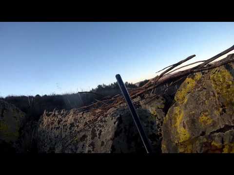 Caccia ai Tordi in Spagna 2015