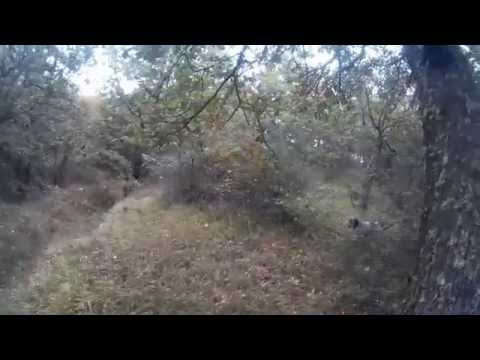 Caccia alla beccaccia in Sicilia