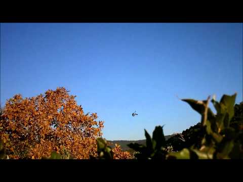 Caccia al Colombaccio