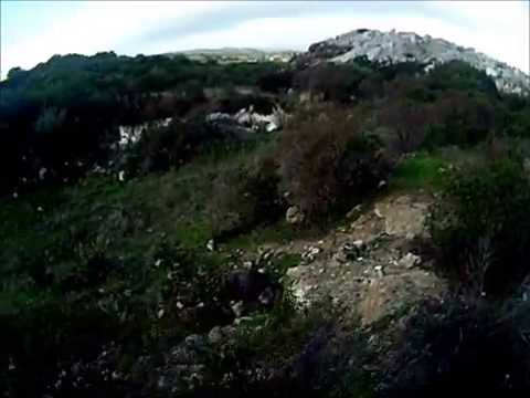 Caccia al cinghiale in Sardegna ad Ottana