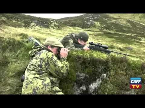 Caccia al Cervo in Scozia