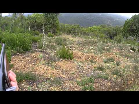 Caccia al Cinghiale in battuta 2015