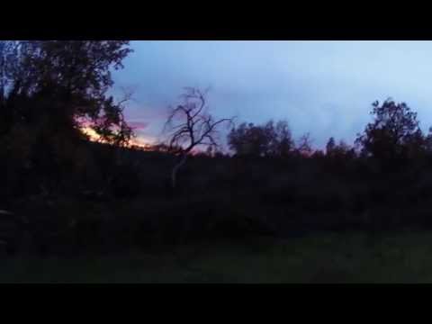 Caccia ai Tordi in Calabria 2014