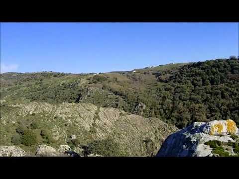 Caccia al Colombaccio Sardegna 2014