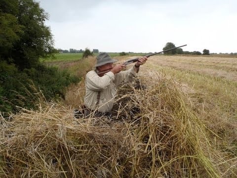 Caccia al Colombaccio in Irlanda