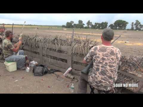 Caccia ai colombacci