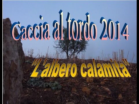Caccia al tordo di passo 2014