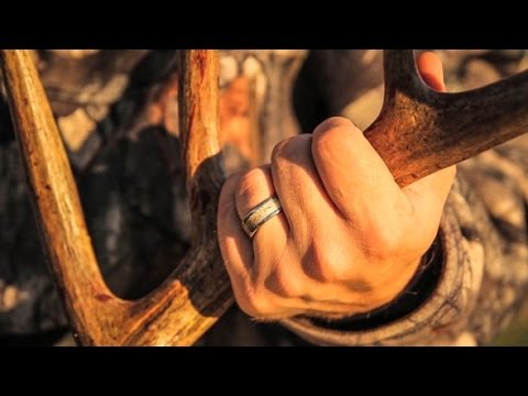 Deer Hunting : 9+ Ans d\’âge mûr Illinois Virginie – L\’avantage de gestion 64