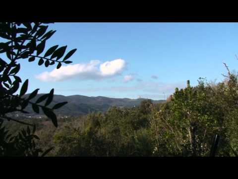 Caccia ai colombacci con l’asta