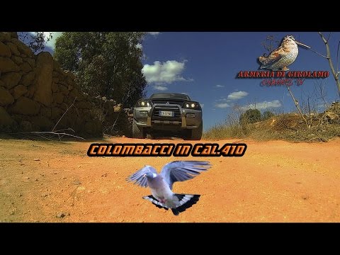 Caccia ai colombacci con il calibro .410