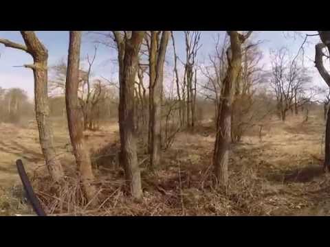 Caccia alla pernice rossa con il .410