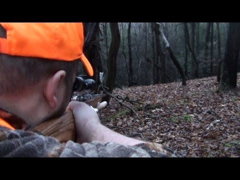 Rifle Buck Season Deer Hunting 2012