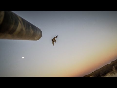 Le X : Epic Point- Blank Mallard Tirez en Alberta