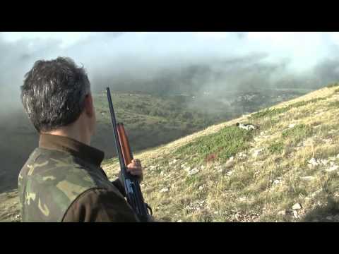 Caccia alla Coturnice