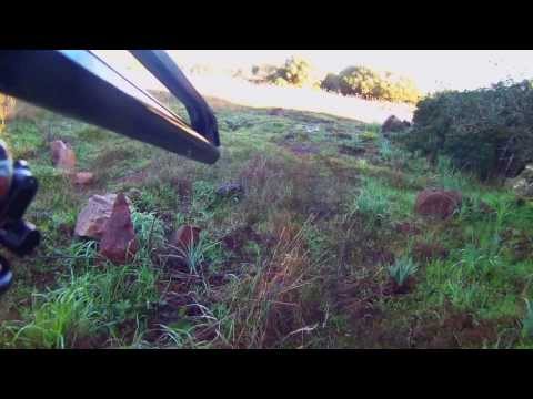 Caccia al cinghiale alla posta