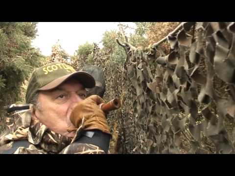 Caccia in Scozia alle oche