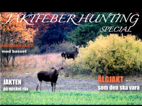 Caccia grossa in Romania