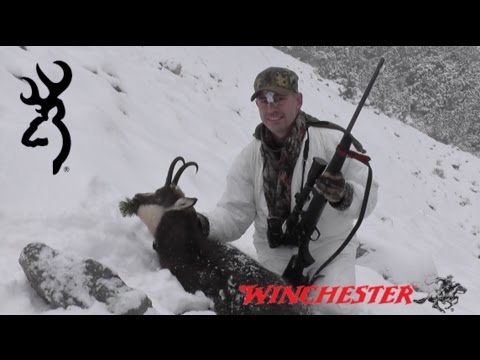 Caccia al camoscio sulle Alpi