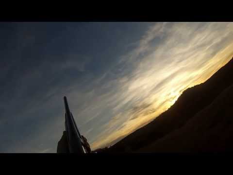 A caccia di tordi e lepri in Spagna