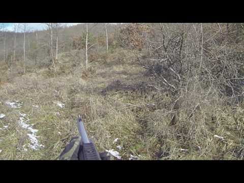 Caccia al cinghiale con Marlin