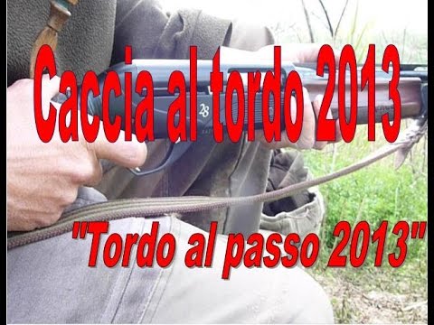 Passo migratorio dei tordi