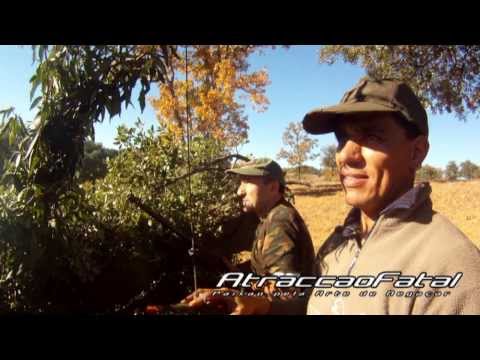 Caccia al colombaccio con i volantini