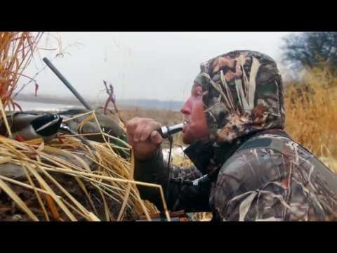 Caccia ad Anatre ed Oche in USA