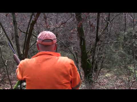 Caccia al cinghiale con Squadra Cinghiale Laghetto di Castelvecchio