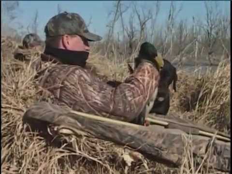 Caccia alle anatre in Missouri