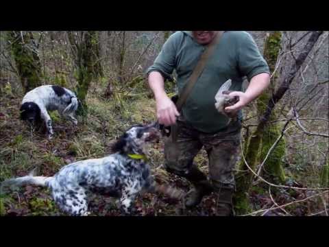 Video di caccia alla beccaccia in Francia