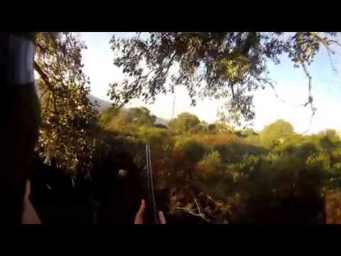 Caccia alla Beccaccia in Sardegna