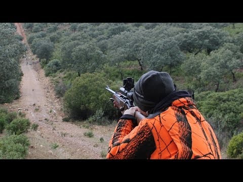 Caccia al cervo in Andalucia