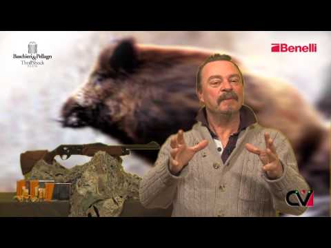 Caccia al Cinghiale con Benelli Raffaello cal.20 e cartucce B&P Thrill Shock