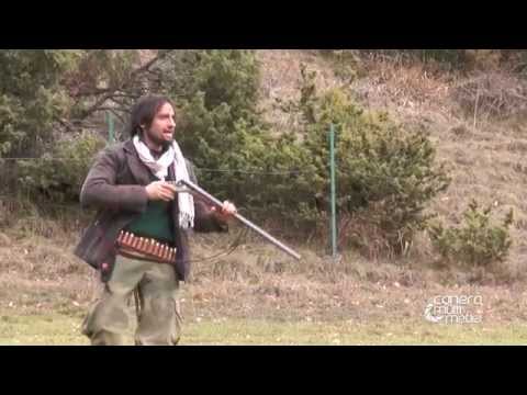 A caccia con Springer Spaniel