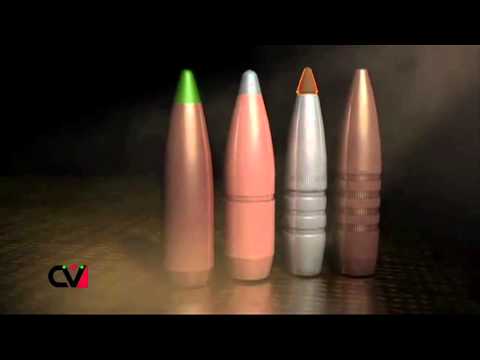 Balistica Venatoria: Proiettili a confronto