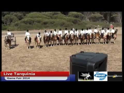 Game Fair 2014 di Tarquinia Diretta Streaming – 01.06.2014 – Parte seconda