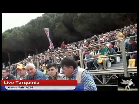 Game Fair in Diretta streaming da Tarquinia (Italy) – 31.05.2014