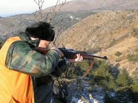 Caccia al Cinghiale – Incontri ravvicinati