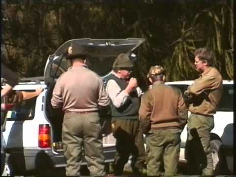 Battuta di Caccia alla Lepre alpina