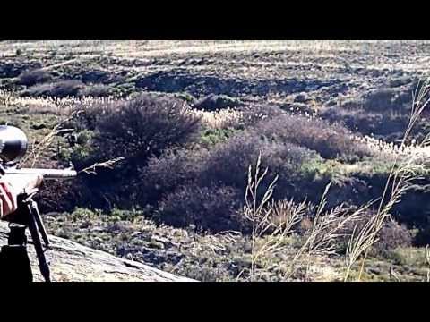 Caccia alle pernici in Sud Africa