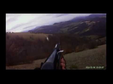 Caccia al Cinghiale a Colfiorito