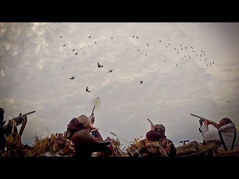 Praticare la caccia agli acquatici