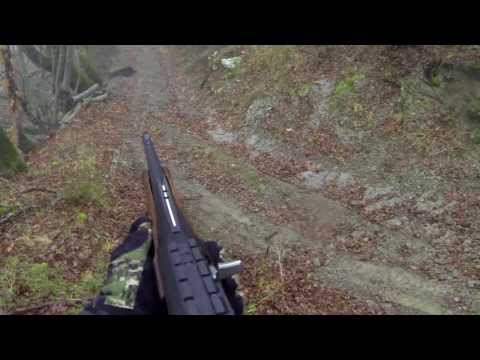 Caccia al Cinghiale con calibro 30.06