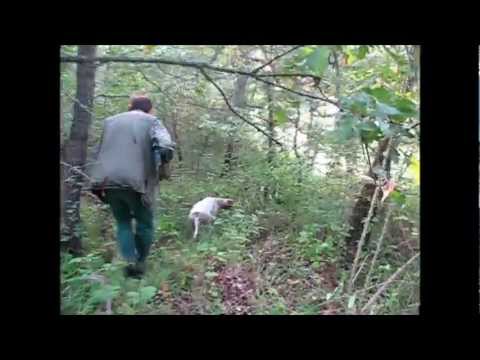Caccia al Fagiano nel Casentino