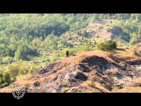 Caccia alla Lepre sugli Appennini – 2a Parte