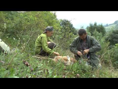 Caccia al Capriolo – Tradizioni da padre a figlio