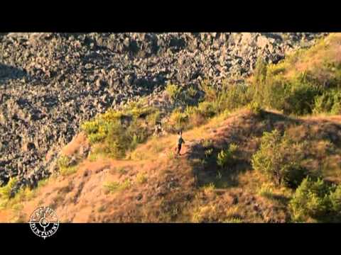 Caccia alla Lepre sugli Appennini – 1a parte